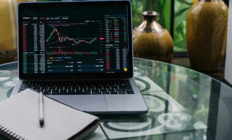 long term stock investment picks